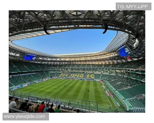 足球明星的传奇人生与他们在绿茵场上的辉煌成就探秘 足球明星的传奇人生与他们在绿茵场上的辉煌成就探秘