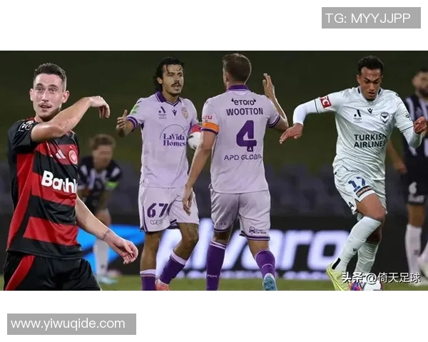 澳甲联赛精彩对决纽卡斯尔迎战凤凰队全力争胜展现实力