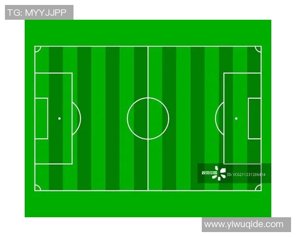 中国足球场地数量的现状与发展趋势分析及其对足球事业的影响